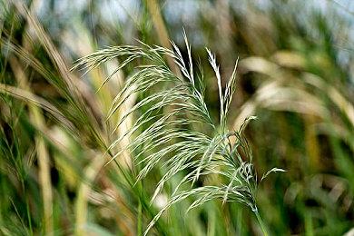 著名Nexus Mods网站已出售 创始人宣布卸任 未披露买家